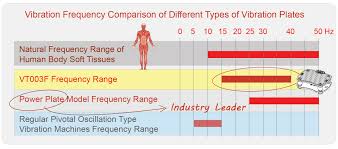 75 Competent Vibration Plate Exercise Chart Download