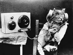 Your fluffy pal won't show any signs of enjoyment or disdain towards a particular song you're listening to. Here S What Music Specially Composed For Your Cat Sounds Like Smart News Smithsonian Magazine