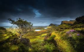 Approximately 2,5 gb bandwith was consumed. Wallpaper Scotland Highland Region Summer Hills Valley Grass Flowers 1920x1200 Hd Picture Image