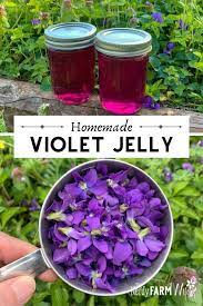 Woodsygirl62 and i went to yard sales today. Homemade Violet Jelly