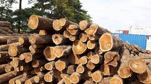 Maybe you would like to learn more about one of these? Teak Wood