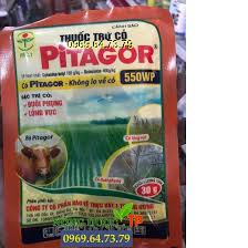 Pitagor 550WP