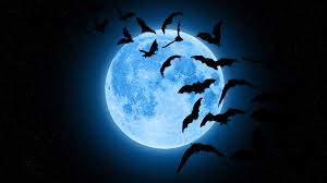 Safety for people with moon in cancer is their home, family and related activities such as cooking, gardening and diy. Full Moon In Taurus October 31 2020 Meaning A Halloween Blue Moon Stylecaster