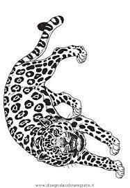 Disegni di tigri da stampare e colorare gratis portale bambini tiger coloring coloringpages coloringinspirat disegni disegni a mano disegni da colorare. Disegno Tigre 15 Animali Da Colorare