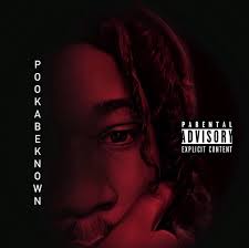 POOKABEKNOWN OUT NOW! (@1pooka_) • Instagram photos and videos