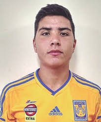 Tenis: Reaparece Murray con triunfo Firman empate Uruguay y Japón en la  Copa América