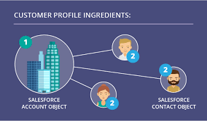 how to create a complete customer profile the salesforce