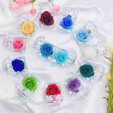 Check spelling or type a new query. Preserved Flower Jewellery Box Best Price In Singapore Lazada Sg
