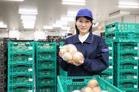 カネスエ 稲沢 センター