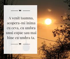 Astăzi, 15 ianuarie 2018, se împlinesc 168 de ani de la nașterea marelui poet român mihai eminescu. Cele Mai Frumoase Poezii De Toamna Ale Poetilor Romani Postmodern