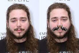 Once You Realize That Post Malone S Mustache Looks Like Two Dogs Kissing You Ll Never Unsee It