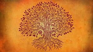 Image result for yogic mind