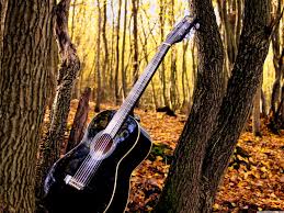 Guitar Full Hd Wallpapers Wallpaper Cave Enjoy and share your favorite beautiful hd wallpapers and background images. guitar full hd wallpapers wallpaper cave