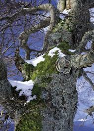 Haus mieten kitzingen / landkreisfaschingszug: Wetter Und Klima Deutscher Wetterdienst Glossar W Wetterseite