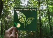Nature's Packaging – Wood Is Good