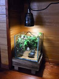 Pin By Tomislav Dolencic On Vivarium Terrarium Planted Aquarium Aquascape Aquarium Freshwater Aquarium