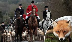 Fox hunt is a 1996 interactive movie video game developed by 3vision gamers and published by capcom for microsoft windows and playstation. Boxing Day Fox Hunt Supporters Rode In Defiance Against Government Uk News Express Co Uk