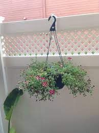 The invisible flower pot holders for fences are durable and versatile. Vinyl Fence Vinyl Fence Fence Plant Fence Plant Hangers