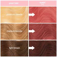 Sushi Hair Color Tint Unicorn Hair Dye Hair Tint Rose Hair Color