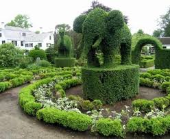 Latest News About Elephants From Portsmouth Elephant News Blomster Elefanter