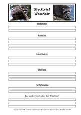 Steckbrief selbst erstellen oder vorlage herun. Waschbar Steckbriefvorlage Sw Tiersteckbrief Vorlagen Sw Steckbriefe Tiere Sachthemen Hus Klasse 3 Grundschulmaterial De