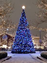 Huge Outdoor Christmas Tree Holiday Lights Blue Christmas Tree Christmas Lights Blue Christmas
