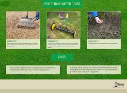 If diy is more your style, you can dethatch your lawn in three ways: How And When To Rake Dead Patches Of Your Lawn