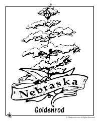 Equality before the law origin of name: 49 Nebraska Ideas Nebraska Nebraska State Coloring Pages