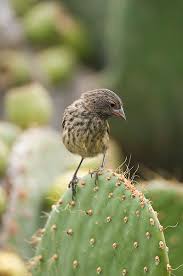 Top 10 Irreplaceable Nature Reserves On Earth In Pictures Nature Reserve Pictures Nature