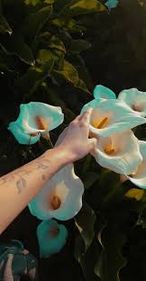 Cowgirls don t cry tattoo. Flower Tattoo On Tumblr