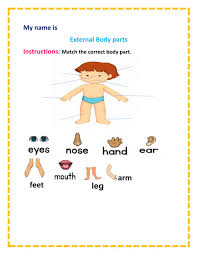 Body parts flashcards showing head, face, forehead, eye, eyelid, eyelashes, eyebrow, teeth, mouth. External Body Parts Interactive Worksheet