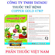 Copper gold 47WP