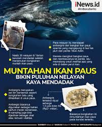 Nama ikan paus sperma berasal dari organ spermaceti yang terletak di kepalanya. Eckvcfzbdm Erm