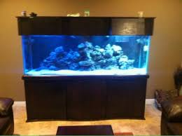 60 long x 26 wide x 24 tall. 2013 Giant Aquariums Page 16