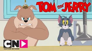 Tom Jerry Show I Spike Ve Tom I Cartoon Network Turkiye Youtube