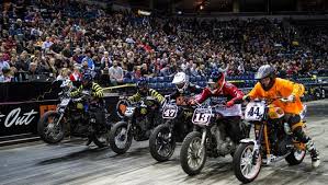 Image result for Viola Malva 1999 Motorcycle