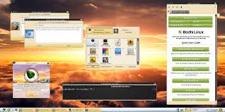 Welcome Bodhi Linux