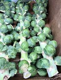 How many carbs are in a cup of brussels sprouts? Oven Roasted Brussels Sprouts Heather Mangieri Nutrition