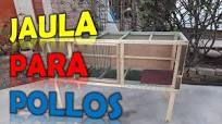JAULA para pollos (muy fácil de elaborar)