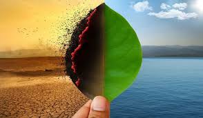 El cambio climático afecta a todas las regiones del mundo. Cambio Climatico Energia Renovable Solar Eolica E Hidraulica