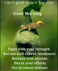 2,140,362 likes · 269,874 talking about this. 100 Good Morning Quotes With Beautiful Images Good Morning Photos Good Morning Quotes Good Morning Images