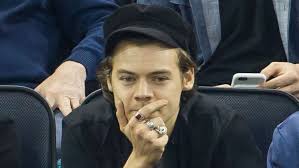 Is Harry Styles dating this celebrity diet blogger?