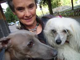 Erik Hedin: Mysig eftermiddag på "Himmelska hundar"