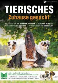 Ein wohnwechsel resultiert meistens aus langfristigen gründen. Tierisches Zuhause Gesucht 2020
