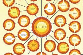 Related Keywords Suggestions For Types Of Cheese Chart
