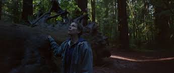 Nomadland movie reviews & metacritic score: Nomadland And The American Myth The Skinny