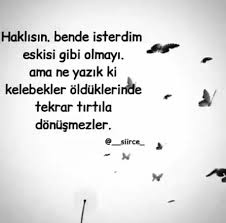 Melis Sultar Adli Kullanicinin Yuregimden Dokulenler Panosundaki Pin 2020 Ilham Verici Sozler Guzel Soz Ozlu Sozler