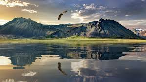 New zealand nature experiences are among the most memorable in the world. Super Interesting Nature Facts About New Zealandthe Fairytale Traveler