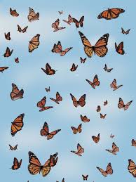 We did not find results for: Follow Me On Insta For More Butterfly Wallpaper Iphone Blue Wallpaper Iphone Iphone Background Wallpaper