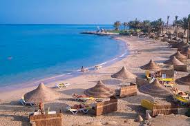 مرسي علم Traveltour